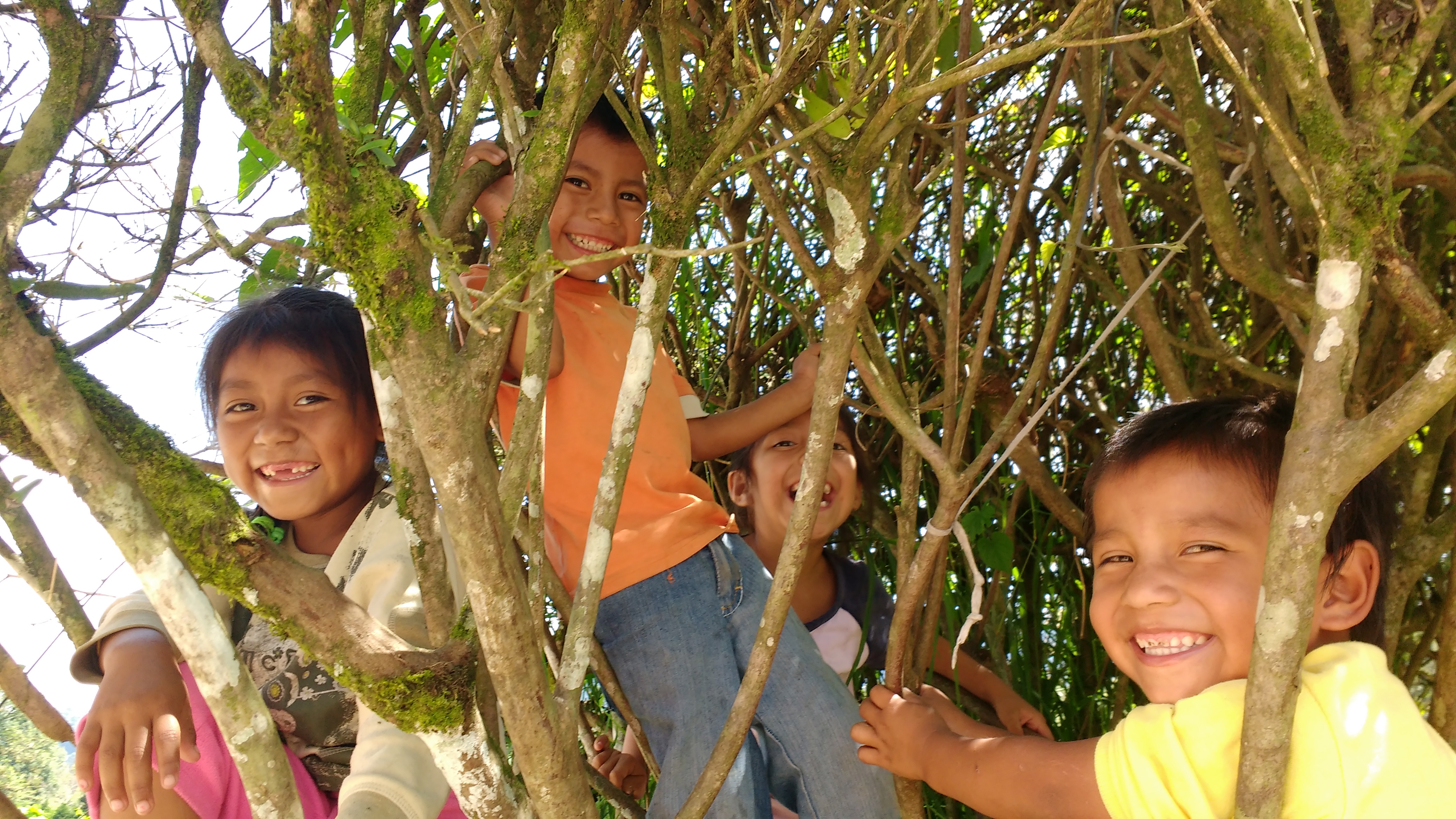 Todas las niñas, niños y adolescentes a la escuela · UNICEF